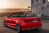 Audi S3 Cabriolet (8V) 2014 - 2016