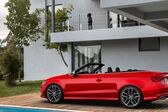 Audi S3 Cabriolet (8V) 2014 - 2016