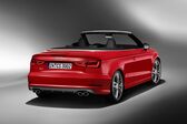 Audi S3 Cabriolet (8V) 2014 - 2016