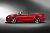 Audi S3 Cabriolet (8V) 2014 - 2016