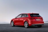 Audi S3 Sportback (8V) 2013 - 2016