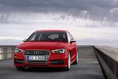 Audi S3 Sportback (8V) 2.0 TFSI (300 Hp) quattro S tronic 2013 - 2016