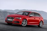 Audi S3 Sportback (8V) 2013 - 2016