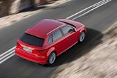 Audi S3 Sportback (8V) 2013 - 2016