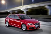 Audi S3 Sportback (8V) 2.0 TFSI (300 Hp) quattro S tronic 2013 - 2016