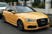 Audi S3 Sportback (8V) 2.0 TFSI (300 Hp) quattro S tronic 2013 - 2016