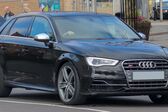 Audi S3 Sportback (8V) 2013 - 2016