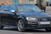 Audi S3 Sportback (8V) 2013 - 2016