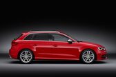 Audi S3 Sportback (8V) 2013 - 2016