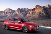 Audi S3 Sedan (8V) 2.0 TFSI (300 Hp) quattro S tronic 2013 - 2016