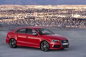 Audi S3 Sedan (8V) 2.0 TFSI (300 Hp) quattro 2013 - 2016