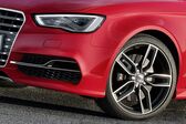 Audi S3 Sedan (8V) 2.0 TFSI (300 Hp) quattro 2013 - 2016