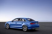 Audi S3 Sedan (8V) 2.0 TFSI (300 Hp) quattro 2013 - 2016