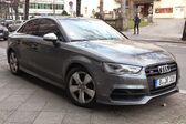 Audi S3 Sedan (8V) 2.0 TFSI (300 Hp) quattro S tronic 2013 - 2016