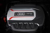 Audi S3 Sedan (8V) 2.0 TFSI (300 Hp) quattro 2013 - 2016