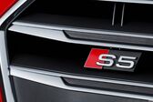 Audi S5 Coupe (F5) 3.0 TDI V6 (347 Hp) quattro Tiptronic 2019 - 2019