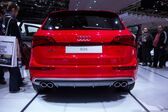 Audi SQ5 I 3.0 TFSI V6 (354 Hp) quattro Tiptronic 2013 - 2017