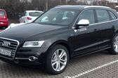 Audi SQ5 I 3.0 TFSI V6 (354 Hp) quattro Tiptronic 2013 - 2017