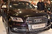 Audi SQ5 I 3.0 TDI plus V6 (340 Hp) quattro Tiptronic 2015 - 2017