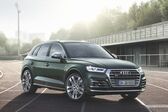 Audi SQ5 II 3.0 TFSI (354 Hp) quattro Tiptronic 2017 - 2020