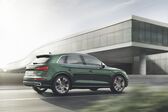 Audi SQ5 II 3.0 TDI V6 (347 Hp) quattro Tiptronic 2019 - 2020