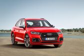 Audi SQ5 II 3.0 TDI V6 (347 Hp) quattro Tiptronic 2019 - 2020