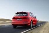 Audi SQ5 II 3.0 TFSI (354 Hp) quattro Tiptronic 2017 - 2020