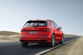 Audi SQ5 II 3.0 TDI V6 (347 Hp) quattro Tiptronic 2019 - 2020