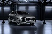 Audi SQ8 4.0 TDI V8 (435 Hp) quattro Tiptronic 2019 - 2020