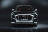 Audi SQ8 4.0 TDI V8 (435 Hp) quattro Tiptronic 2019 - 2020