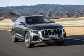 Audi SQ8 4.0 TDI V8 (435 Hp) quattro Tiptronic 2019 - 2020