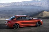 BMW 2 Series Coupe (F22 LCI, facelift 2017) 218i (136 Hp) 2017 - 2021