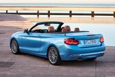 BMW 2 Series Convertible (F23 LCI, facelift 2017) 218d (150 Hp) Steptronic 2017 - present