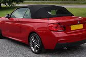 BMW 2 Series Convertible (F23 LCI, facelift 2017) 218d (150 Hp) Steptronic 2017 - present