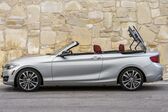 BMW 2 Series Convertible (F23) 2015 - 2017