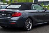 BMW 2 Series Convertible (F23) 220i (184 Hp) 2015 - 2016