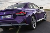 BMW 2 Series Coupe (G42) 220d (190 Hp) MHEV Steptronic 2021 - present