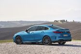 BMW 2 Series Gran Coupe (F44) 216d (116 Hp) Steptronic 2020 - present