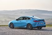 BMW 2 Series Gran Coupe (F44) 216d (116 Hp) Steptronic 2020 - present