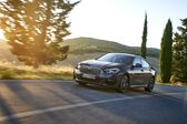 BMW 2 Series Gran Coupe (F44) 220d (190 Hp) Steptronic 2019 - present