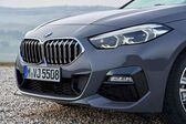 BMW 2 Series Gran Coupe (F44) 216d (116 Hp) Steptronic 2020 - present