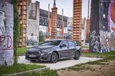 BMW 2 Series Gran Coupe (F44) 220i (178 Hp) Steptronic 2020 - present