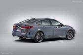 BMW 2 Series Gran Coupe (F44) 220d (190 Hp) Steptronic 2019 - present