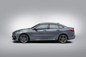 BMW 2 Series Gran Coupe (F44) 220i (178 Hp) Steptronic 2020 - present