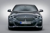 BMW 2 Series Gran Coupe (F44) 220d (190 Hp) Steptronic 2019 - present