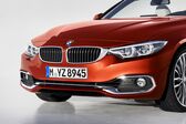 BMW 4 Series Convertible (F33, facelift 2017) 430i (252 Hp) xDrive Steptronic 2017 - 2020