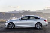 BMW 4 Series Gran Coupe (F36, facelift 2017) 440i (326 Hp) xDrive Steptronic 2017 - 2021