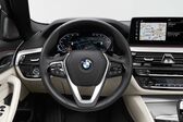 BMW 5 Series Touring (G31 LCI, facelift 2020) 530d (286 Hp) MHEV xDrive Steptronic 2020 - present