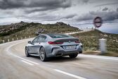 BMW 8 Series Gran Coupe (G16) 840i (340 Hp) xDrive Steptronic 2019 - 2020