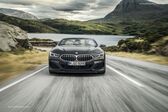 BMW 8 Series Convertible (G14) 840d (320 Hp) xDrive Steptronic 2019 - 2020